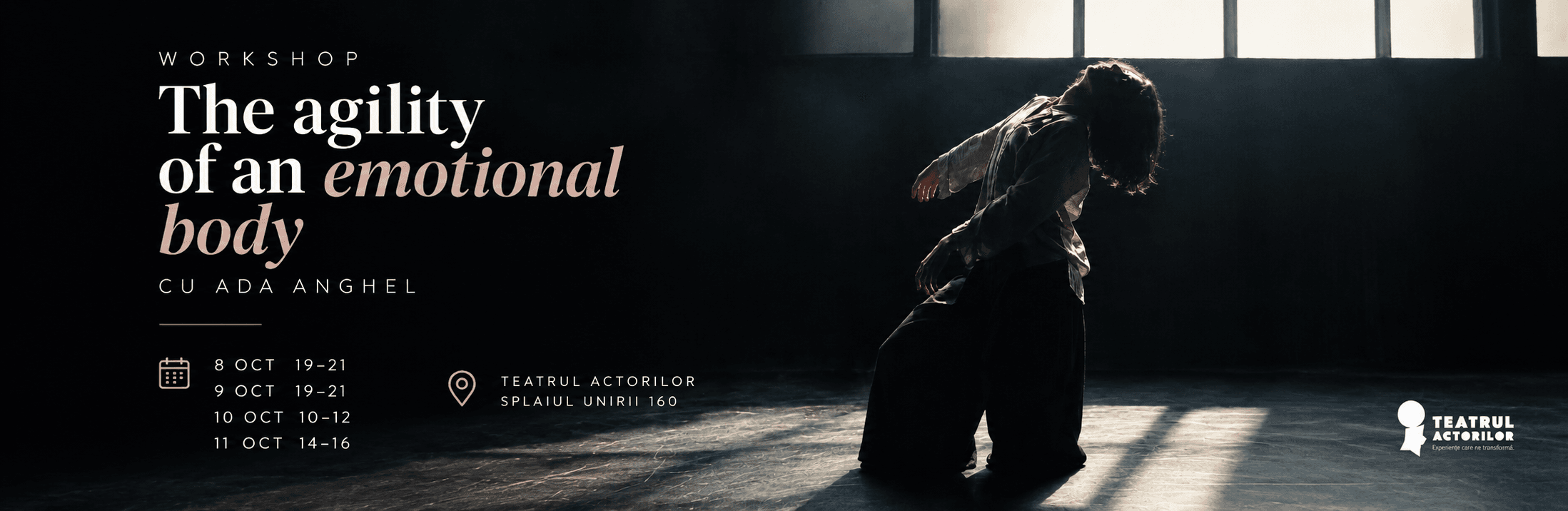 Imagine de prezentare pentru The Agility of an emotional body